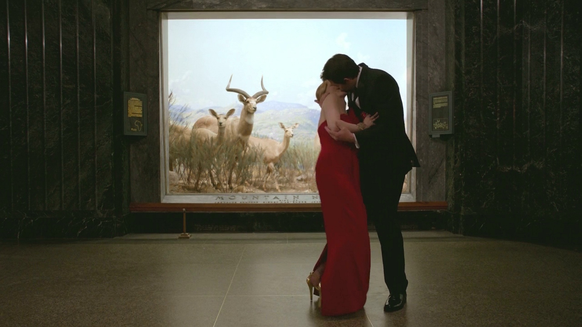 000517.jpg 000517.jpg
